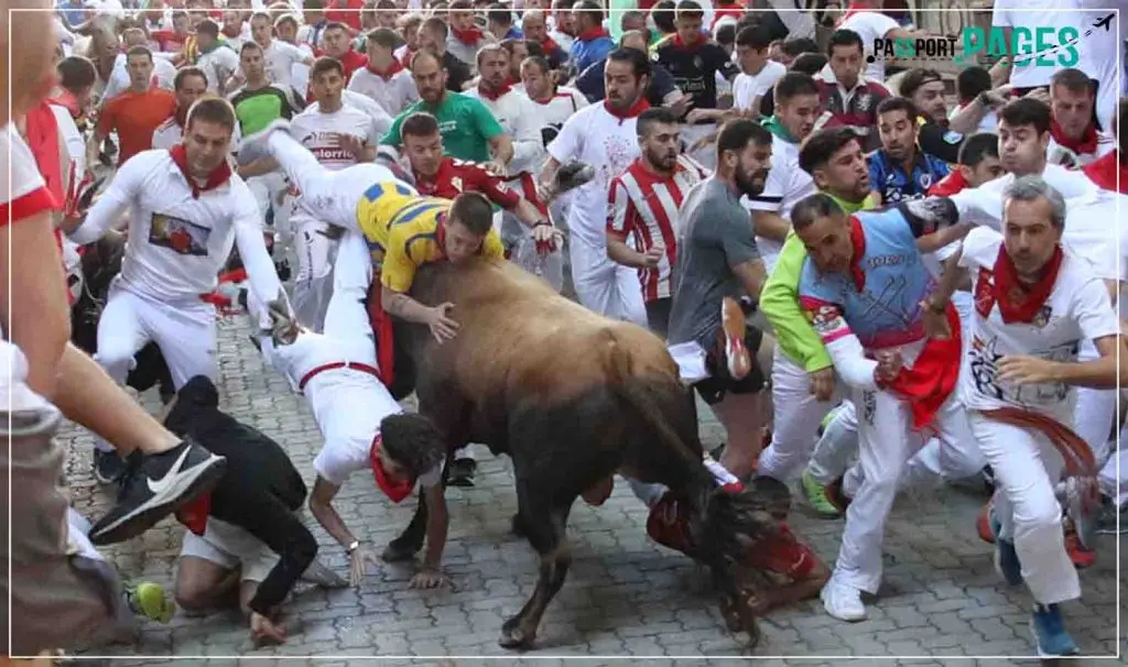 Bull-Run-Festival