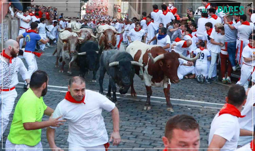 Bull-Run-Festival