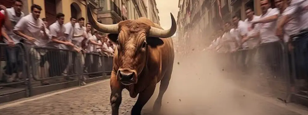 Pamplona-Bull-Run-Festival